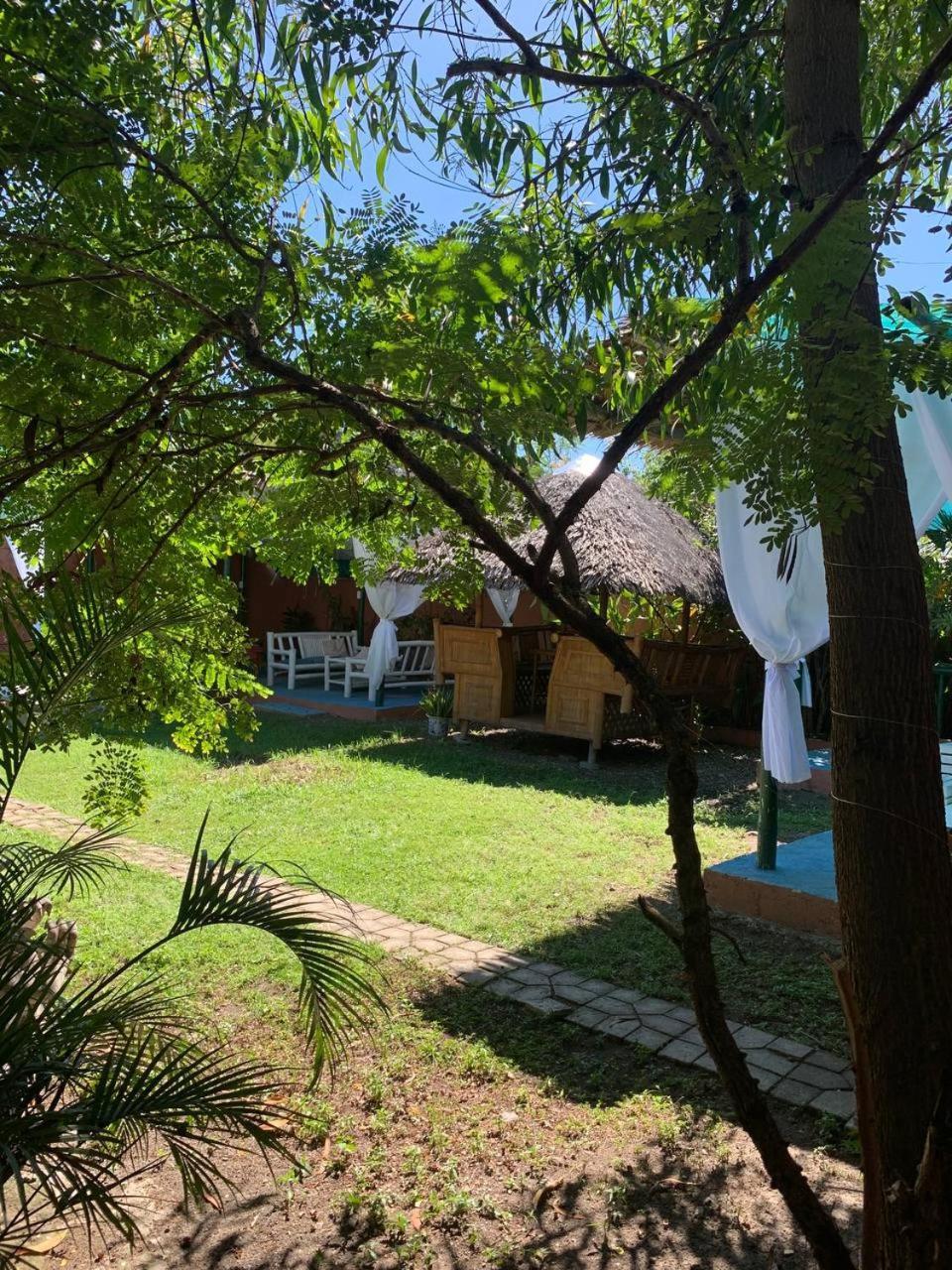 Vitaminsea Room Dauin Exterior foto